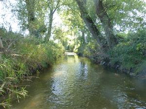 začiatok TMP po prúde Turiec pod Žiarom