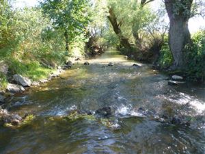 koniec TMP po prúde, Turiec pod Žiarom