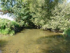 koniec TMP proti prúdu