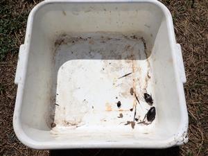 TML, výber živolovných ZEBCO pascí