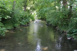 Hybica koniec lokality