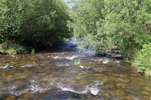 Biely Váh Važec koniec úseku