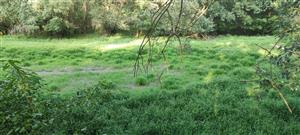 Lokalita TML bez vody