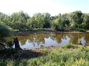 TML (inundácia Starej nitry)