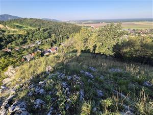 TML - časť nad cintorínom