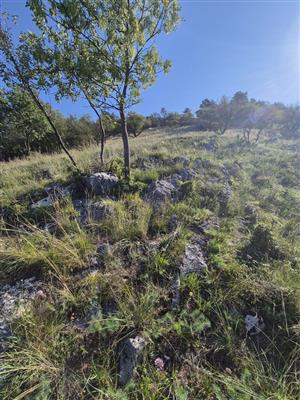 TML - časť nad strelnicou