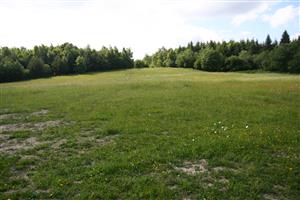 záber na časť biotopu, smer SSZ