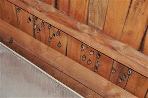 Rhinolophus hipposideros