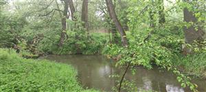 Stará Myjava_Senica pod_koniec lokality_po prúde