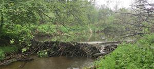 Stará Myjava_Senica pod_bobria hrádza