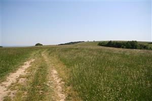 záber na biotop, smer J