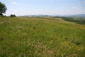 záber na časť biotopu, smer S