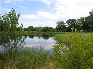 TML, mimoinundačné jazierko Apáti