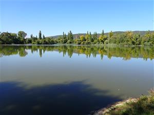 TML (šúrsky rybník)