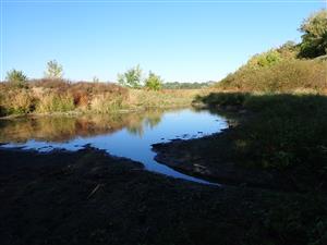 TML Štokrzí- rameno plesiopotamon