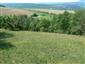 Suchomilné travinnobylinné a krovinové porasty na vápnitom podloží (*dôležité stanovištia Orchideaceae) (19.5.2015)