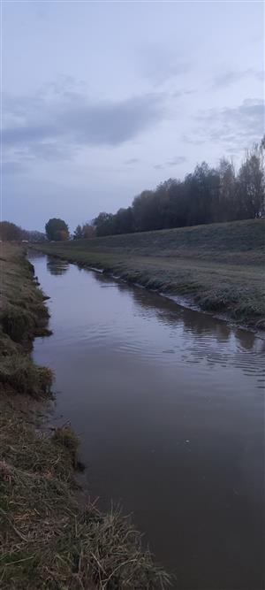 Radošinka_Zbehy_koniec lokality