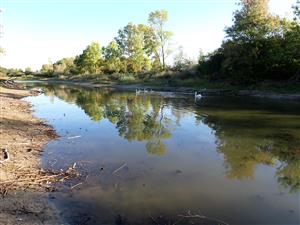 TML, obnažený litorál pri nízkom stave vody
