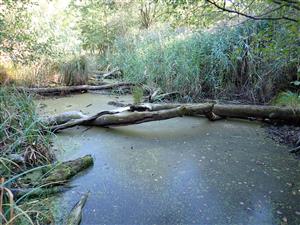 TML, interiér s posledným zvyškom súvislej vodnej hladiny