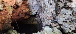 kontrolovaná dutina