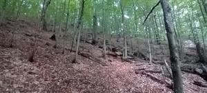 TML, celkový pohľad