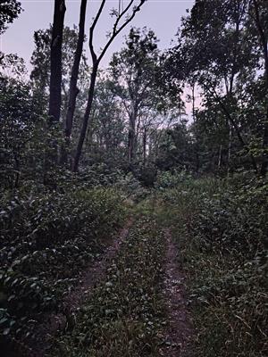 TML Párovské háje