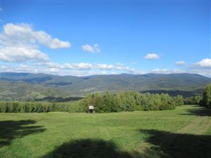 TML, celkový pohľas