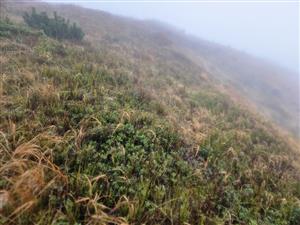 Pohľad na lokalitu, spodná časť TML.