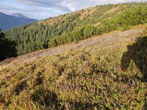 Pohľad na lokalitu.