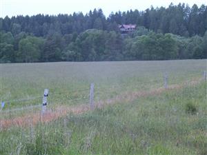 Územie monitoringu. Drevená chata - prechodný úkryt netopierov 