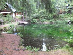  malá vodná nádrž v lese, neďaleko dve chaty 