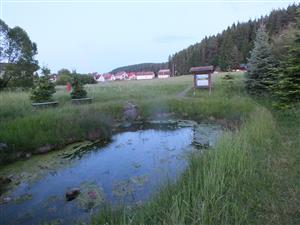 lúka s prameňom Teplica neďaleko Važeckej jaskyne 