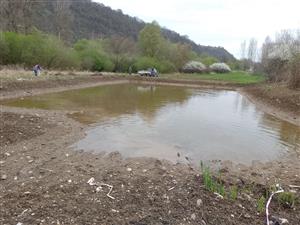 TML, pohľad na sever na revitalizovanú časť mokrade