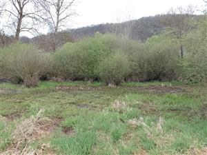 TML, pohľad zo stredu na časť TML pod ochrannou hrádzou. 