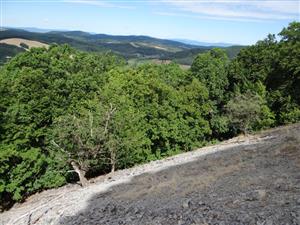 Pohľad na TML_8150_011