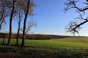 Pohľad na časť TML Maňa, Horná Gedra, Hron. pahorkatina. Foto: 4.11.2025, J.Lengyel.