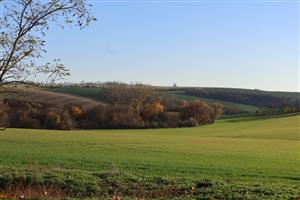 Pohľad na časť  TML Maňa, Horná Gedra, časť Maniansky potok a Hronská pahorkatina.Foto: 4.11.2025, J.Lengyel.