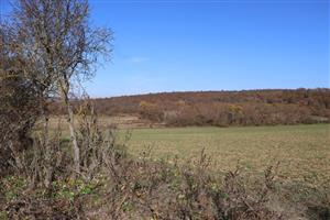 Pohľad na časť TML Kamenica - predhorie pohoria Burda, južne od Bajtavy a severne od Kamenice. Foto: 5.11.2025, J.Lengyel.