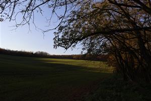 Pohľad na časť TML Kamenica nad Hronom - časť Ipeľ. pahorkatina, foto: 5.11.2025, J.Lengyel.