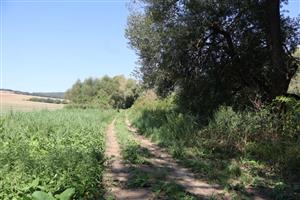 Pohľad na časť TML Kamenica - VN Bajtava, a Bajtavský potok, foto: 14.8.2025.Ilustračné foto: J.Lengyel.