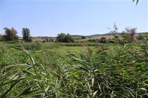 Pohľad na časť TML Kamenica - VN Bajtava, foto: 14.8.2025. J.Lengyel. Ilustračné foto.