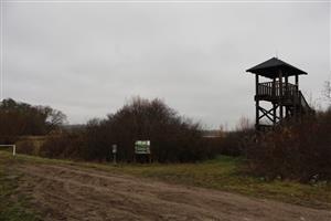 Pohľad na JV okrajové časti TML Žitavský luh. Foto: 13.11.2025, J.Lengyel.