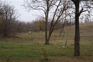 Pohľad na prednú časť PR Mašan, TML, foto: 13.11.2025, J.Lengyel.