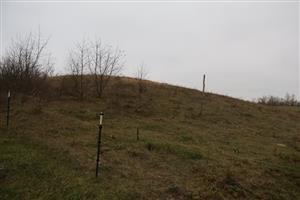 Pohľad na hlavnú pieskovú dunu, PR Mašan, TML, foto: 13.11.2025.