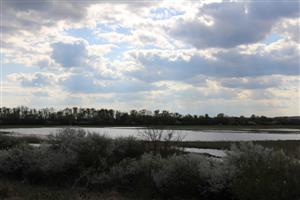 Pohľad na centrálne močiarne jazero, TML Maňa, foto: 8.4.2025, J.Lengyel.