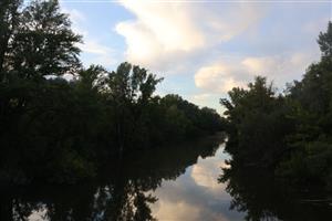 TML Alúvium Nitry, pohľad na hlavný tok Nitry, Martovce, s priľahlými luhmi. Foto: 18.8.2025, J.Lengyel.