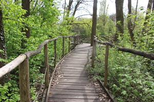 Pohľad na časť TML Klátovské rameno, pri vod. mlyne. Foto: 14.4.2025, J.Lengyel.