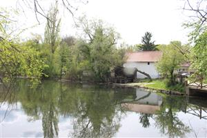 Pohľad na časť TML Klátovské rameno - vodný mlyn a okolie, foto: 14.4.2025, J.Lengyel.