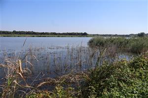 Pohľad na časť TML Číčov - Číčovské rybníky. Foto: 27.8.2025, J.Lengyel.