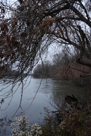 Pohľad na časť TML Kľúčovecké rameno v čase zimnej záplavy. Foto: 26.11.2025, J.Lengyel.